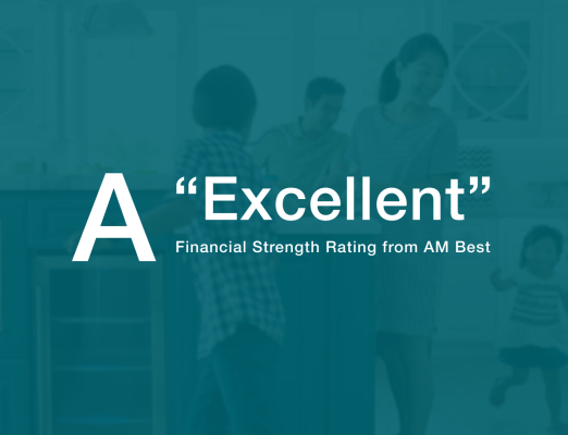 A "Excellent" Financial Strength Rating from AM Best